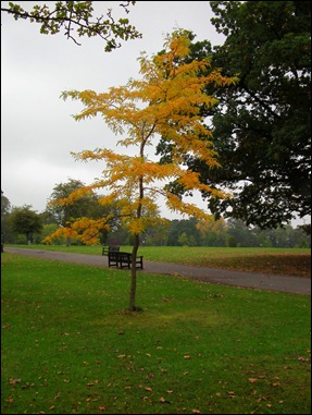 DSCF0589